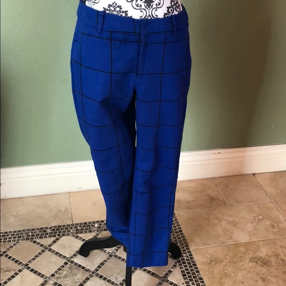 Blue pants - Picture 1 of 5